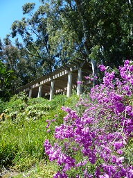 Les Jardins du Rayol var Provence